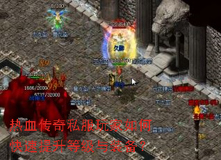 ��Ѫ����˽�������ο��������ȼ���װ����