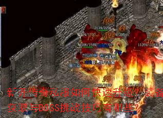 �¿�����˽����ο���������װ����ȡ��BOSS��ս��������Щ��