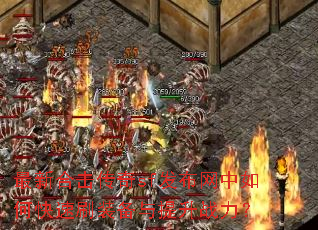 ���ºϻ�����sf����������ο���ˢװ��������ս����