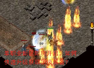 ��ְҵ����������������ο���������ȡ����װ����