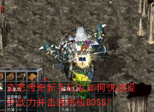 ��̬�������������ο�������ս���������ռ�BOSS��