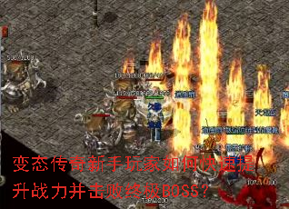 ��̬�������������ο�������ս���������ռ�BOSS��