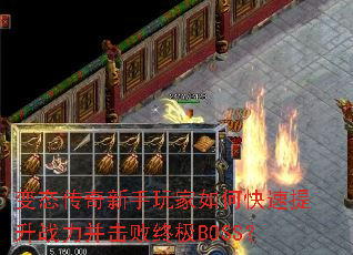 ��̬�������������ο�������ս���������ռ�BOSS��