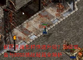 ��������������������������װ����BOSS��ս�ؼ�ȫ����