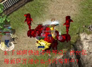 ������ο��������ȼ�������˽�����������ر���������Щ��