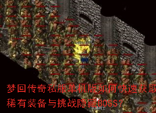 �λش���˽����������ο��ٻ�ȡϡ��װ������ս����BOSS��