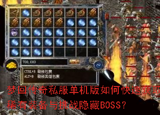 �λش���˽����������ο��ٻ�ȡϡ��װ������ս����BOSS��