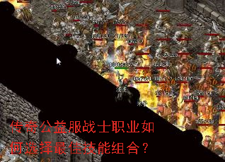 ���湫���սʿְҵ���ѡ����Ѽ�����ϣ�