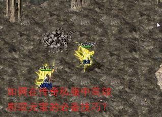 ����ڴ���˽���и�ЧˢȡԪ���ıر����ɣ�