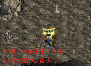 ����ڴ���˽���и�ЧˢȡԪ���ıر����ɣ�