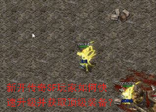 �¿�����SF�����ο�����������ȡ����װ����