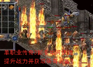 ��ְҵ����3������ο�������ս������ȡϡ��װ����