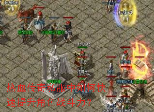 ��Ѫ����˽������ο���������ɫս������