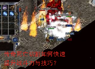 ���������и���ο�������ս�����뼼�ɣ�