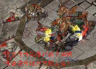 ��䴫��˽��sf������ο�������ս����ˢװ����