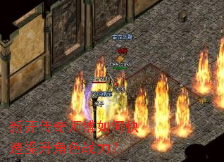 �¿�����ʦ����ο���������ɫս����