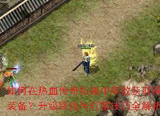 �������Ѫ����˽���и�Ч��ȡϡ��װ��������·����򱦼���ȫ����