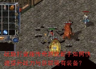 ս�����������Ϸ������ο�������ս�����ȡϡ��װ����