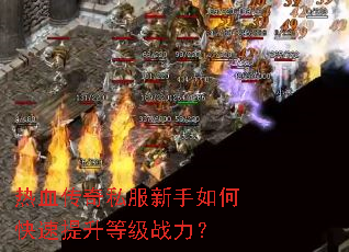 ��Ѫ����˽��������ο��������ȼ�ս����