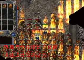 ��Ѫ����˽��������ο��������ȼ�ս����