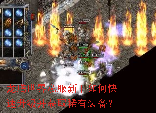 ��������˽��������ο�����������ȡϡ��װ����