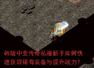 �����б䴫��˽��������ο��ٻ�ȡϡ��װ��������ս����