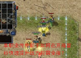 ��ְҵ������������ڿ��������������ս���ư�ȫ����