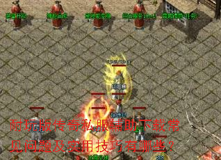 ����洫��˽���������س������⼰ʵ�ü�������Щ��