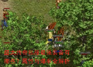 ʢ����˽����ǿװ������Щ�������뱬��ȫ����