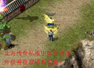 ��������˽������ο�����������ȡϡ��װ����