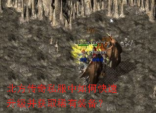 ��������˽������ο�����������ȡϡ��װ����