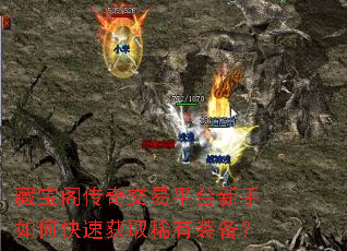 �ر����潻��ƽ̨������ο��ٻ�ȡϡ��װ����