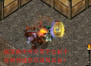 �ر����潻��ƽ̨������ο��ٻ�ȡϡ��װ����