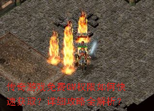 ������Ϸ���GMȨ����ο��ٻ�ȡ����ϸ����ȫ������