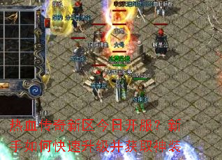 ��Ѫ�����������տ�����������ο�����������ȡ��װ