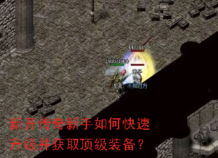 �¿�����������ο�����������ȡ����װ����