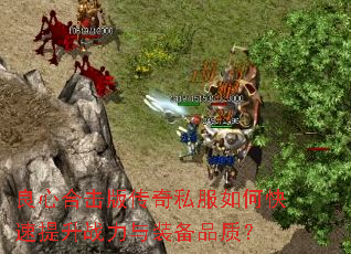 ���ĺϻ��洫��˽����ο�������ս����װ��Ʒ�ʣ�