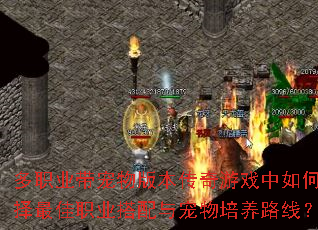 ��ְҵ������汾������Ϸ�����ѡ�����ְҵ�������������·�ߣ�