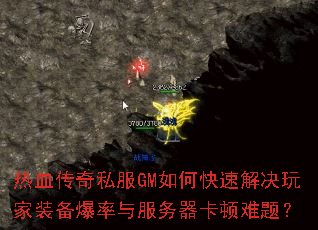 ��Ѫ����˽��GM��ο��ٽ�����װ��������������������⣿