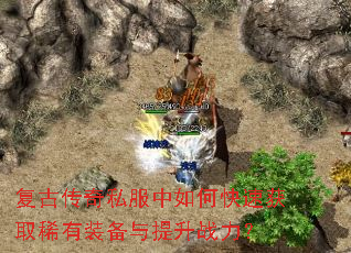 ���Ŵ���˽������ο��ٻ�ȡϡ��װ��������ս����