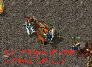 ���Ŵ���˽������ο��ٻ�ȡϡ��װ��������ս����