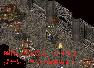 GM������Ϸ���ԣ���ο�������ս�����ȡϡ��װ����