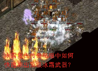 ��ѩ���Ŵ���˽������ο���ˢ��������˪������