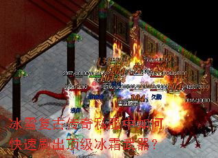 ��ѩ���Ŵ���˽������ο���ˢ��������˪������