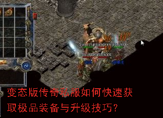 ��̬�洫��˽����ο��ٻ�ȡ��Ʒװ�����������ɣ�