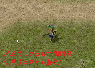 ��������˽��������ο������ո�Ч�������ţ�