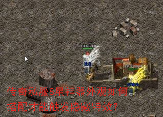 ����˽��8�����������δ�����ܴ���������Ч��