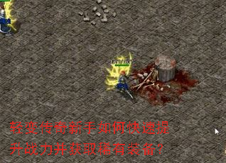 ��䴫��������ο�������ս������ȡϡ��װ����