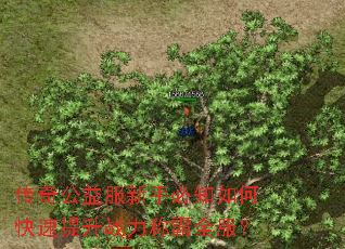 ���湫������ֱ�֪��ο�������ս���ư�ȫ����