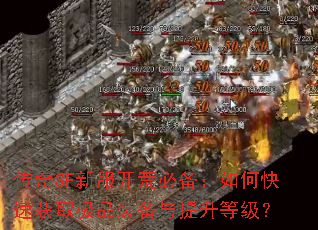 ����SF�·����ıر�����ο��ٻ�ȡ��Ʒװ���������ȼ���